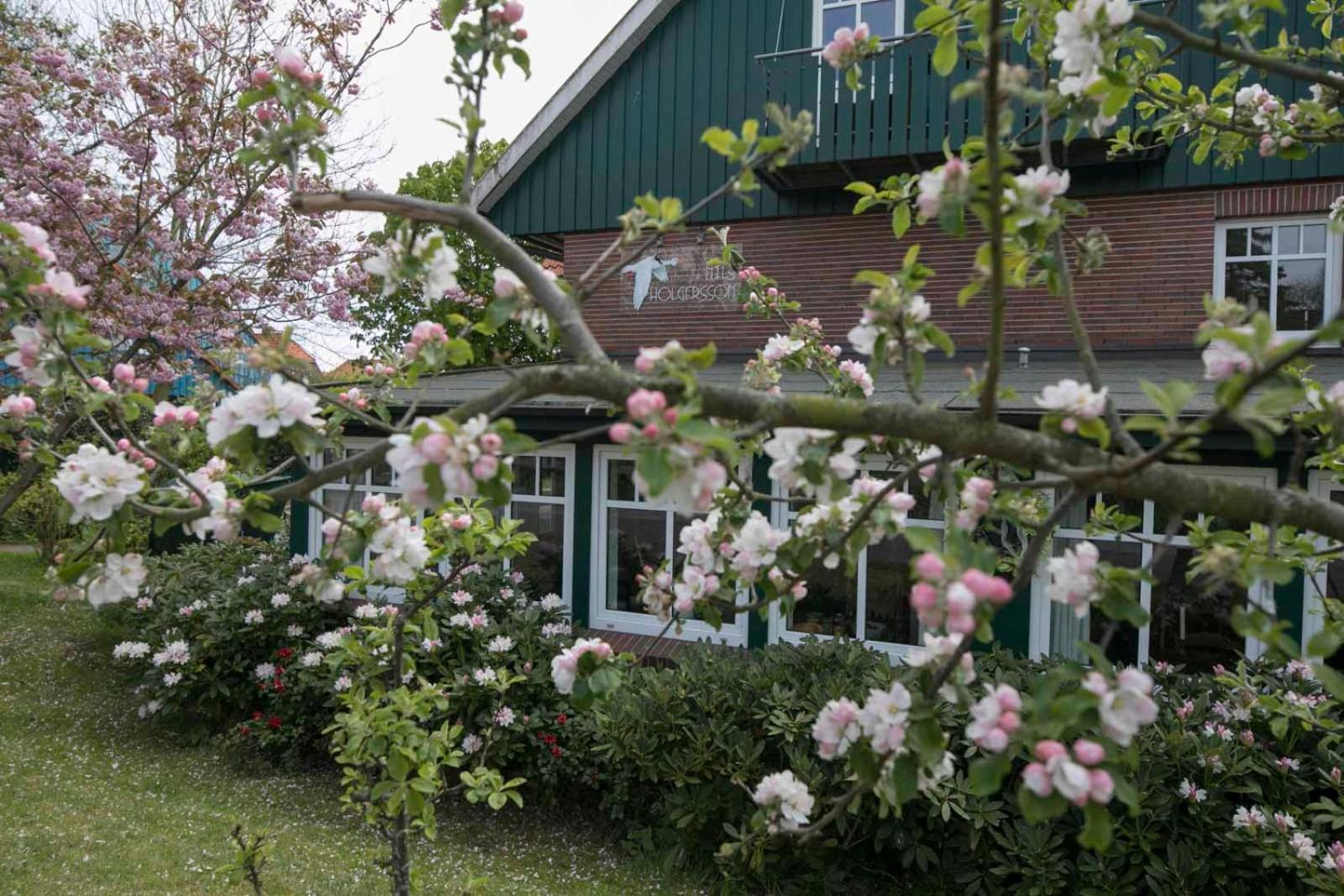 Ferienhaus Nils Holgersson - Wohnung 1 Spiekeroog Dış mekan fotoğraf